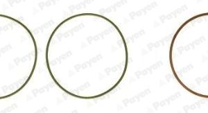 Set garnituri bucsa cilindru MERCEDES-BENZ ACTROS 2635, 2635 L diesel 354 cai PAYEN HT5038