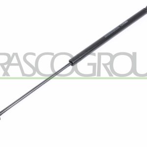 Amortizor portbagaj MERCEDES-BENZ A-CLASS (W169) A 160 (169.031, 169.331) benzina 95 cai PRASCO ME3249055