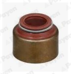 Etansare supape MERCEDES-BENZ ACCELO 710 diesel 109 cai PAYEN PA6100