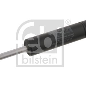 Amortizor vibratii curea transmisie cu caneluri FEBI BILSTEIN 08778 – imagine produs
