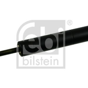 Amortizor vibratii curea transmisie cu caneluri FEBI BILSTEIN 19995 – imagine produs