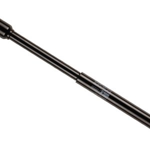 Amortizor directie BILSTEIN 18-002461