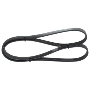 Curea transmisie cu caneluri MITSUBISHI CARISMA limuzina (DA_) 1.8 GDI (DA2A) benzina 122 cai BOSCH 1 987 947 838