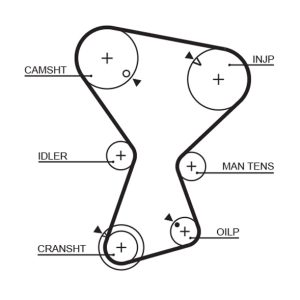 Curea de distributie MITSUBISHI GALANT VI limuzina (E3_A) 1.8 Turbo-D (E34A) diesel 75 cai GATES 5072