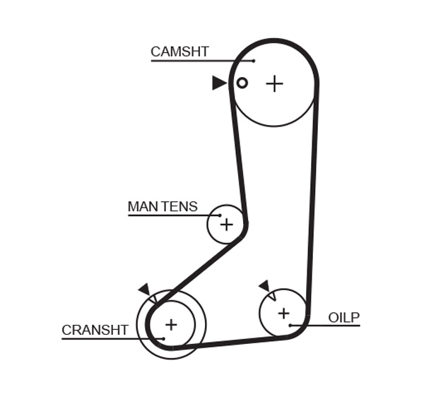 Curea de distributie MITSUBISHI L 300 III bus (P0_W, P1_W, P2_W, P3_W) 2.4 4WD (P24W) benzina 112 cai GATES 5254XS