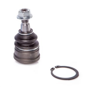 Pivot MITSUBISHI COLT Caseta/ Hatchback (Z3_V) 1.5 DiD diesel 95 cai REINWEG RW7594