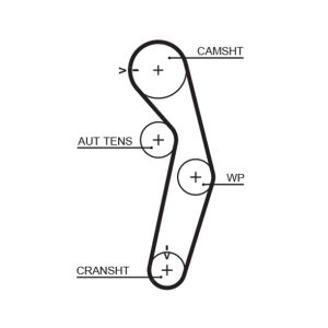Curea de distributie MITSUBISHI CARISMA limuzina (DA_) 1.6 (DA1A) benzina 99 cai GATES 5445XS