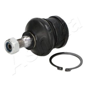 Pivot MITSUBISHI COLT VI (Z3_A, Z2_A) 1.5 DI-D (Z39A) diesel 95 cai ASHIKA 73-05-502