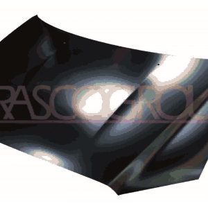 Capota motor MITSUBISHI OUTLANDER II (CW_W) 2.2 DI-D 4WD diesel 177 cai PRASCO MB7163110