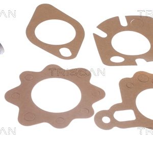 Termostat lichid racire MITSUBISHI L200 (K7_T, K6_T, K5_T) 2.5 TD 4WD (K74T) diesel 115 cai TRISCAN 8620 2188