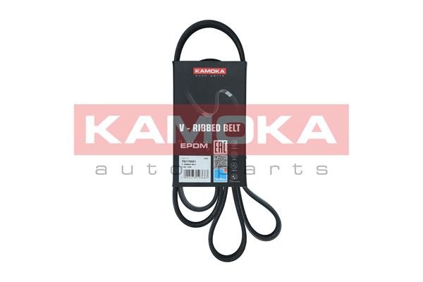 Curea transmisie cu caneluri OPEL MOVANO A caroserie (X70) 2.5 CDTI (FD) diesel 120 cai KAMOKA 7017031