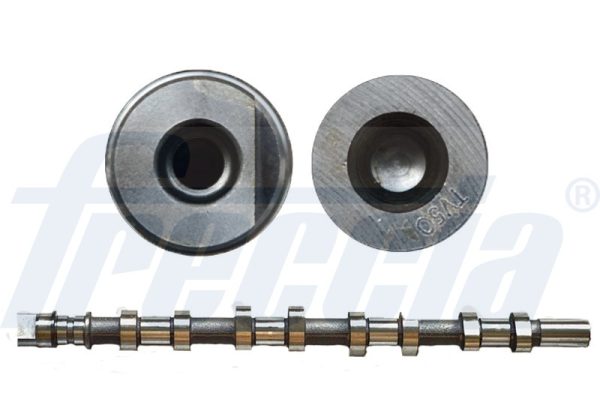 Ax cu came OPEL MOVANO A caroserie (X70) 2.5 CDTI (FD) diesel 120 cai FRECCIA CM05-2165