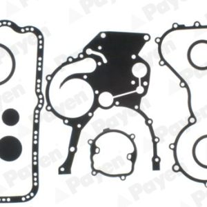 Set garnituri carter OPEL VIVARO A caroserie (X83) 2.5 CDTI (F7) diesel 114 cai PAYEN EE5220