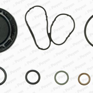 Set garnituri carter OPEL MOVANO B platou / sasiu (X62) 2.3 CDTI RWD (EV, HV, UV) diesel 131 cai PAYEN EG9760