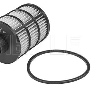 Filtru combustibil OPEL COMBO Autoutilitara/limuzina spatioasa 1.3 CDTI 16V diesel 75 cai MEYLE 614 323 0004