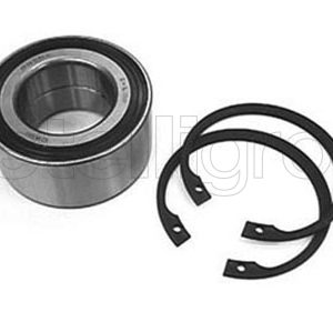 Set rulment roata OPEL COMBO Autoutilitara/limuzina spatioasa 1.7 CDTI 16V diesel 101 cai METELLI 19-2174