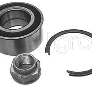 Set rulment roata OPEL COMBO Tour (X12) 1.6 CDTI (C26, D26, E26, C05) diesel 105 cai METELLI 19-2252