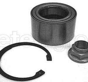 Set rulment roata OPEL MOVANO A caroserie (X70) 2.5 D (FD) diesel 80 cai METELLI 19-2301