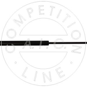 Amortizor portbagaj AIC 53856