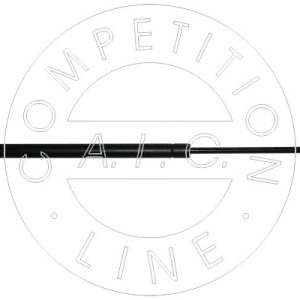 Amortizor portbagaj AIC 53861