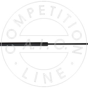 Amortizor portbagaj AIC 54008