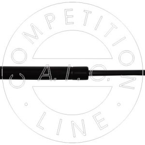 Amortizor portbagaj AIC 54011
