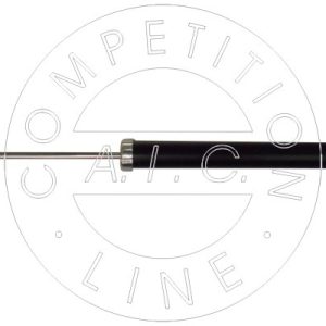 Amortizor AIC 56267