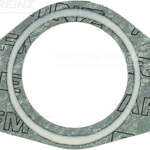 Garnitura galerie admisie VICTOR REINZ 71-29398-10 – OPEL | AutoRival