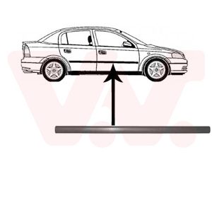 Elemente decorative / protectie portiera VAN WEZEL 3742424