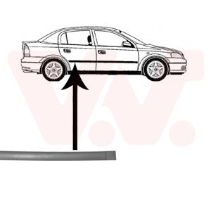 Elemente decorative / protectie portiera VAN WEZEL 3742426