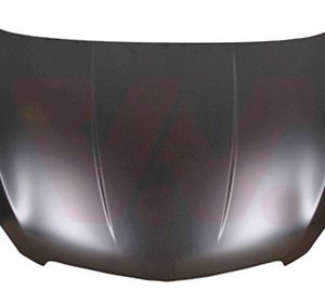 Capota motor VAN WEZEL 3775660