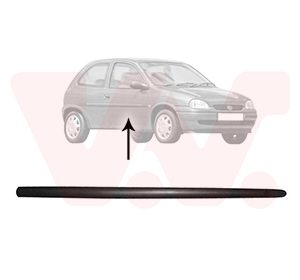 Elemente decorative / protectie portiera VAN WEZEL 3776424