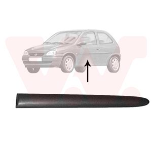 Elemente decorative / protectie panou lateral VAN WEZEL 3776429