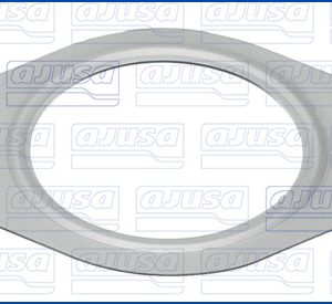 Garnitura racord evacuare PEUGEOT EXPERT platou / sasiu (223) 1.9 D diesel 70 cai AJUSA 00155500