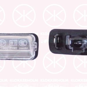 Iluminare numar de circulatie PEUGEOT EXPERT caroserie (V_) 2.0 BlueHDi 120 diesel 122 cai KLOKKERHOLM 05510850