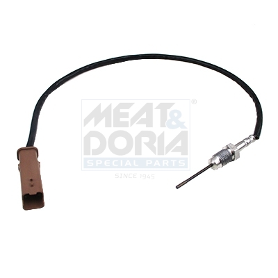 Senzor temperatura gaze evacuare PEUGEOT EXPERT platou / sasiu 2.0 HDi 130 diesel 128 cai MEAT DORIA 12169E