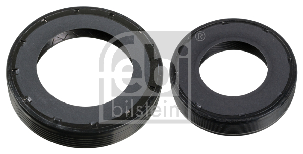 Set de inele de etansare a arborelui diferential PEUGEOT EXPERT bus (V_) 1.6 BlueHDi 115 diesel 115 cai FEBI BILSTEIN 173279