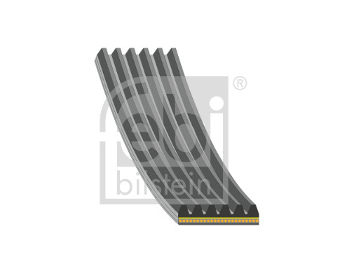 Curea transmisie cu caneluri PEUGEOT EXPERT caroserie (V_) 2.0 BlueHDi 120 diesel 122 cai FEBI BILSTEIN 184927