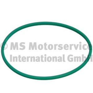 Garnitura capac rezervor PEUGEOT EXPERT platou / sasiu (223) 1.9 TD diesel 90 cai PIERBURG 3.32038.01.0
