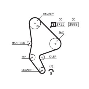 Curea de distributie PEUGEOT EXPERT caroserie (222) 2.0 HDI diesel 109 cai GATES 5588XS