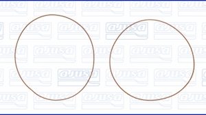 Set garnituri bucsa cilindru PEUGEOT EXPERT (224_) 1.8 benzina 101 cai AJUSA 60002200
