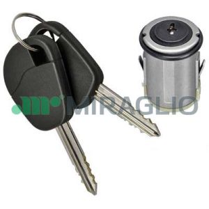Cilindru inchidere PEUGEOT EXPERT platou / sasiu (223) 1.9 TD diesel 90 cai MIRAGLIO 80/1027