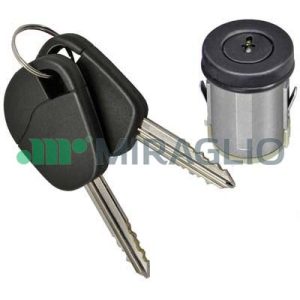 Cilindru inchidere PEUGEOT EXPERT platou / sasiu (223) 1.9 TD diesel 90 cai MIRAGLIO 80/1028