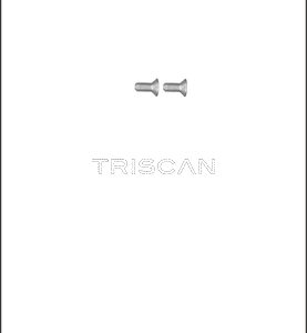 Set surub disc frana PEUGEOT EXPERT platou / sasiu (V_) E-EXPERT electric 136 cai TRISCAN 8105 116012