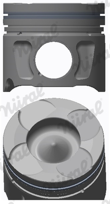 Piston PEUGEOT EXPERT platou / sasiu (223) 2.0 HDi diesel 109 cai NURAL 87-114700-10