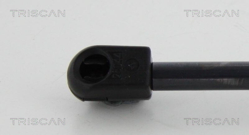 Amortizor portbagaj PEUGEOT RIFTER 1.2 PureTech 130 benzina 131 cai TRISCAN 8710 10213