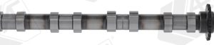 Ax cu came PEUGEOT EXPERT caroserie (V_) 2.0 BlueHDi 180 diesel 178 cai AE CAM1031