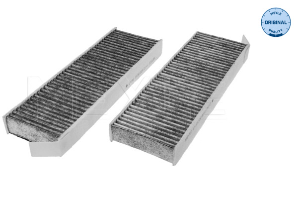 Filtru polen PEUGEOT EXPERT caroserie (V_) 2.0 BlueHDi 150 diesel 150 cai MEYLE 11-12 320 0010