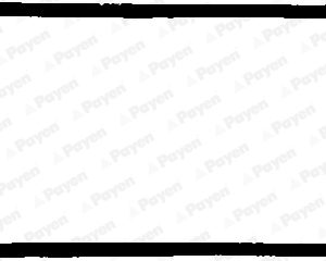 Garnitura capac supape PEUGEOT 504 (A_, M_) 1.8 Injection (A02) benzina 97 cai PAYEN JN244