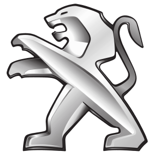 Mecanism actionare geam PEUGEOT PARTNER microbus (5_, G_) 1.9 D 4x4 diesel 69 cai BLIC 6060-00-PE4134